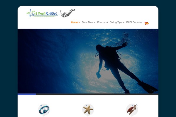 Briny theme site design template sample