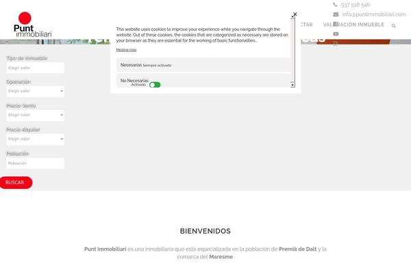 Site using Estatik plugin