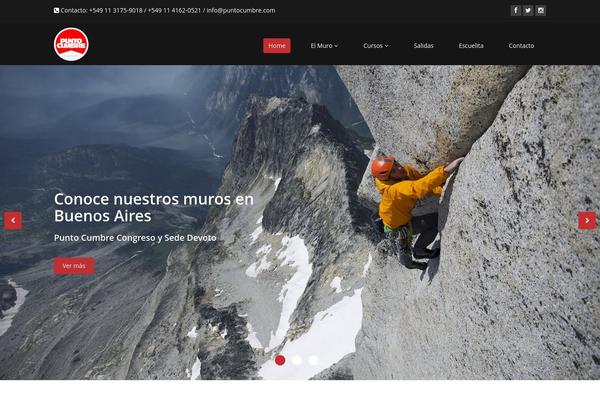 Rt_iridium_wp theme site design template sample