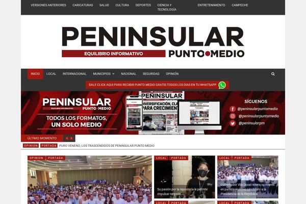 puntomedio.mx site used Daily-news
