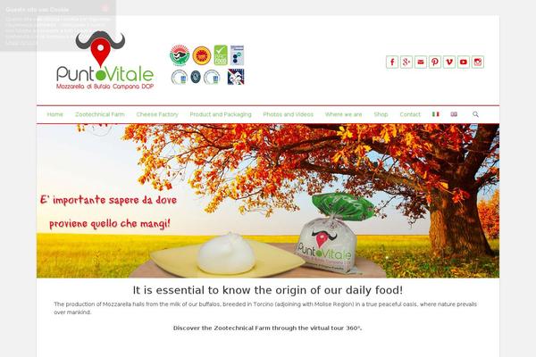 Catch Base theme site design template sample