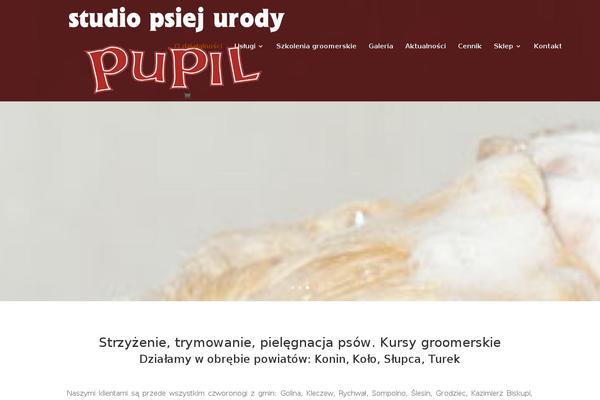 Site using Pronamic Cookies plugin