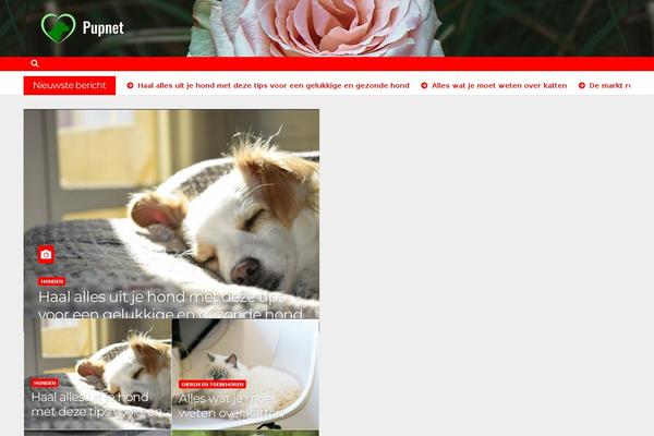 Newsbulk theme site design template sample