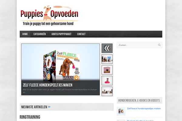 Marketers Delight theme site design template sample