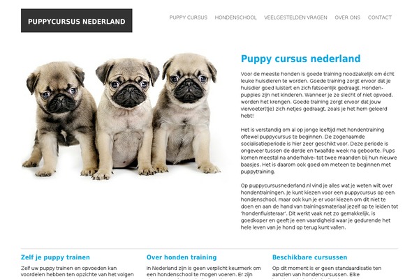 Nextlevel theme site design template sample