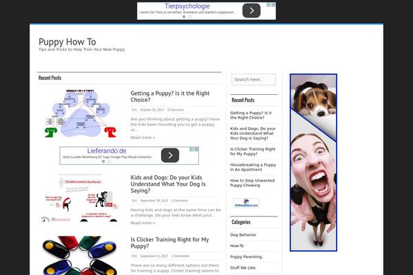 Silver Mag Lite theme site design template sample