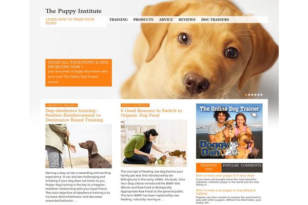 Training theme site design template sample
