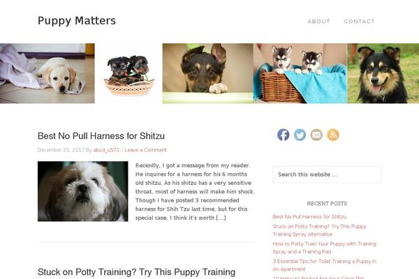 Beautiful Pro Theme theme site design template sample