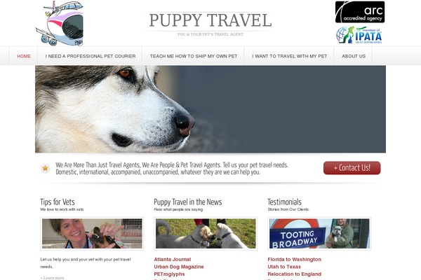 Cleanwide theme site design template sample