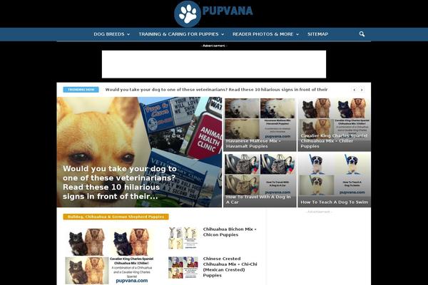 ce41 WordPress theme, websites list used ce41 theme ce41 theme websites examples