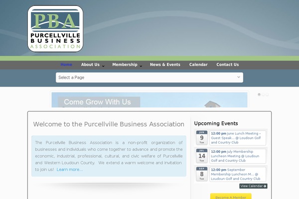 Site using Constant Contact WordPress Widget plugin