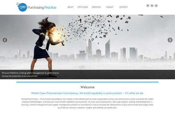 Pro theme site design template sample