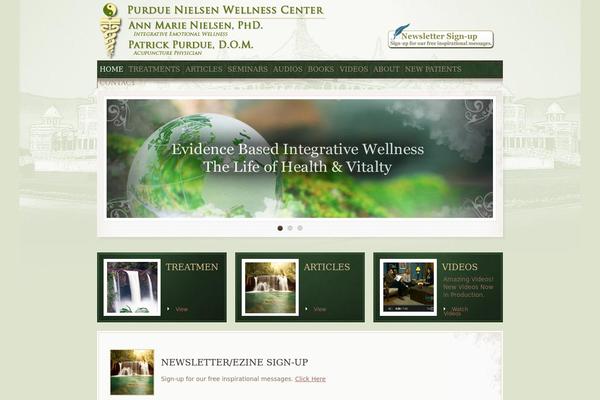 purduenielsen.com site used Theme1497