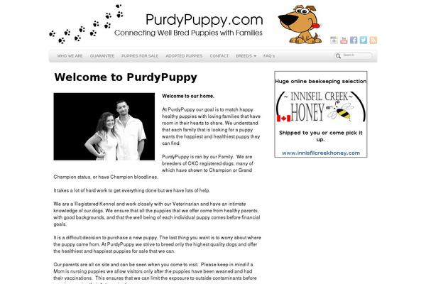 PageLines theme site design template sample