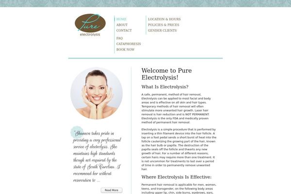 Pure theme site design template sample