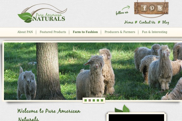 Pan theme site design template sample