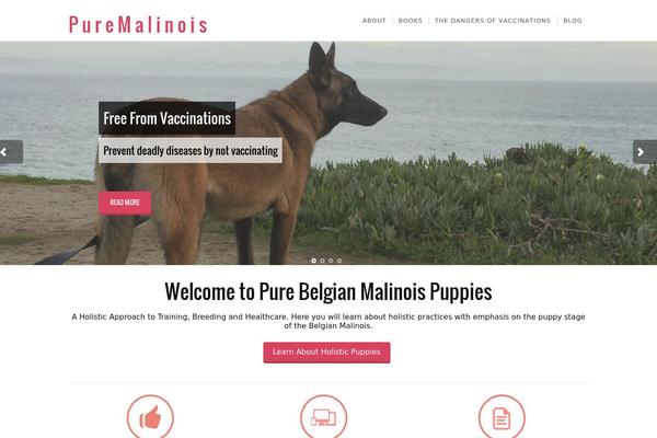 Site using Falconiform YouTube Widget plugin