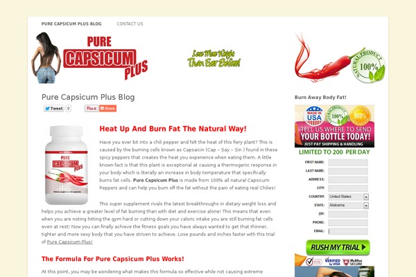 Twenty Twelve theme site design template sample