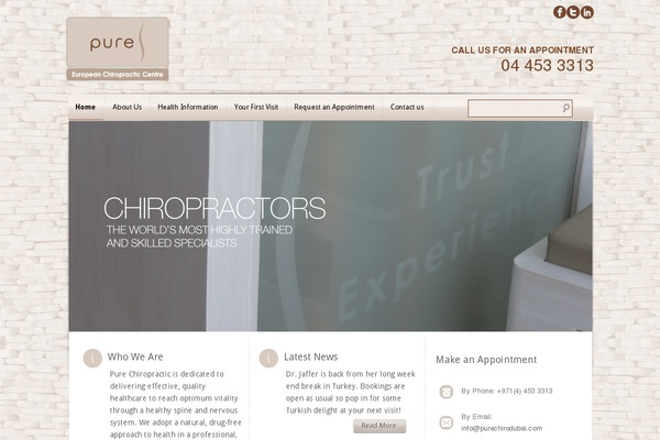 Pure theme site design template sample
