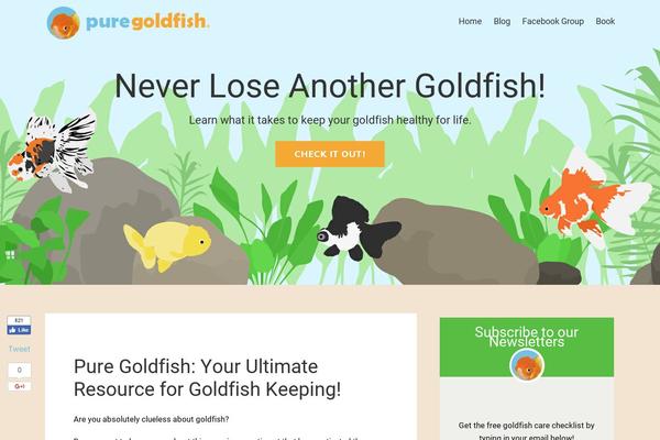 Site using Flying-pages plugin
