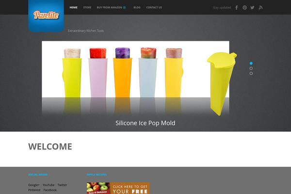 Fizz theme site design template sample