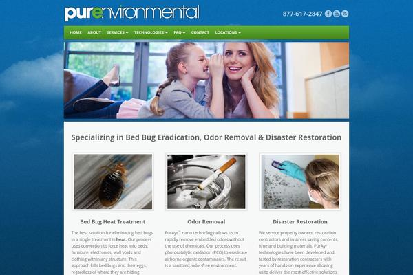 Pure theme site design template sample