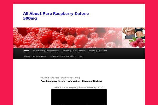 Twenty Eleven theme site design template sample