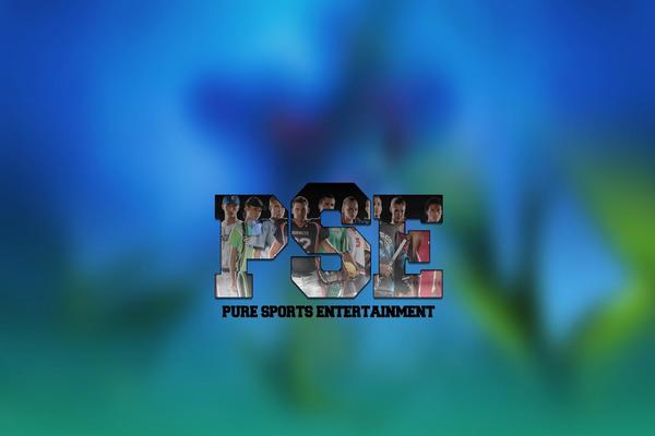 puresports.net site used SinglePage
