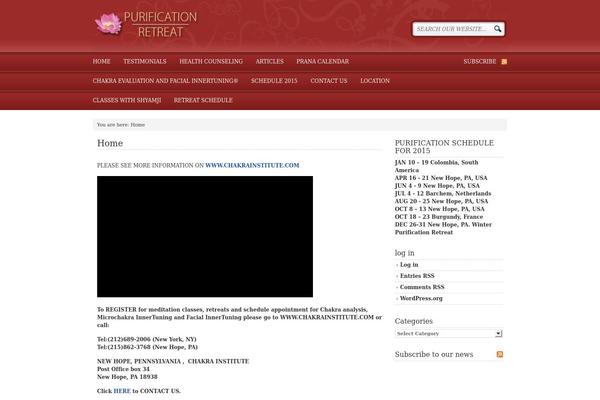 Executive 1.0 theme site design template sample