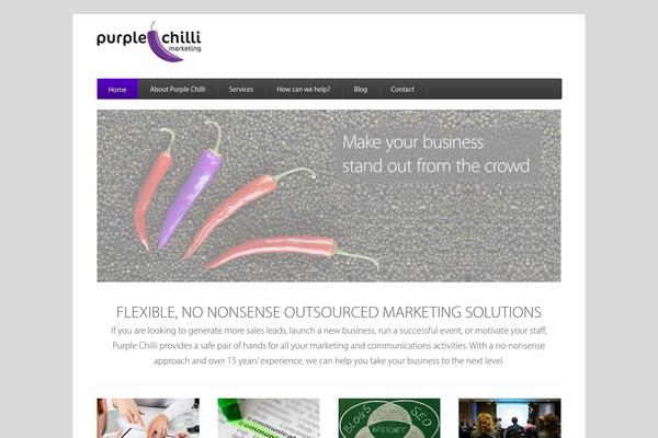 Function theme site design template sample