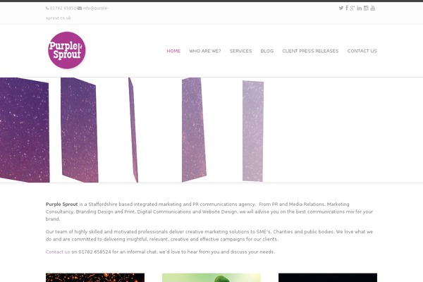 Site using Fancier Author Box by ThematoSoup plugin