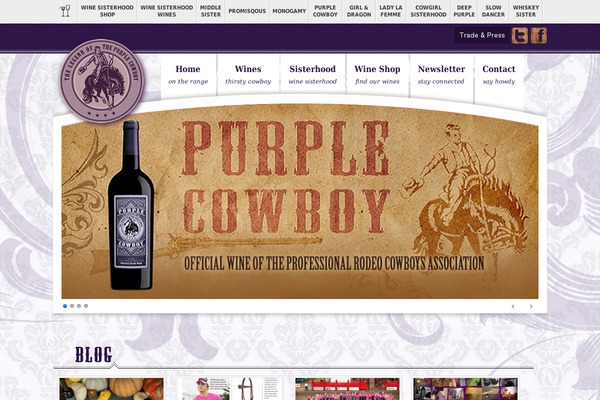 Radiate Pro theme site design template sample