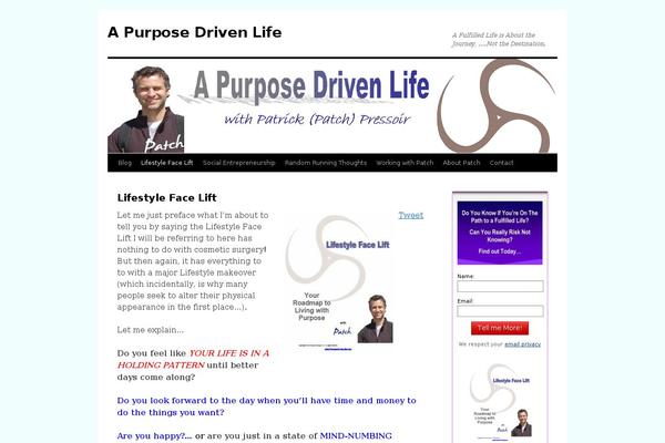 Site using What Would Seth Godin Do plugin