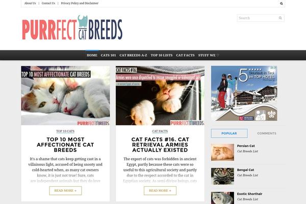 Editorial theme site design template sample