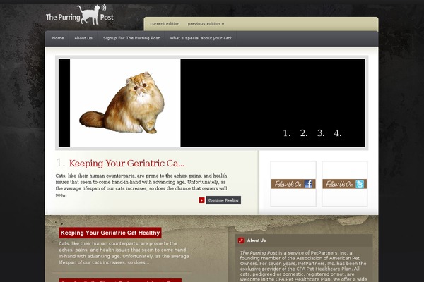 Coldstone theme site design template sample