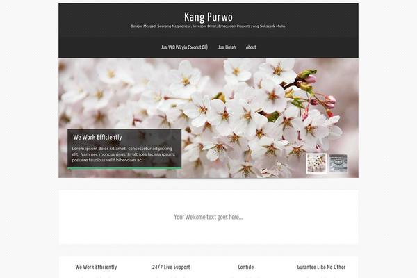 Theron Lite theme site design template sample