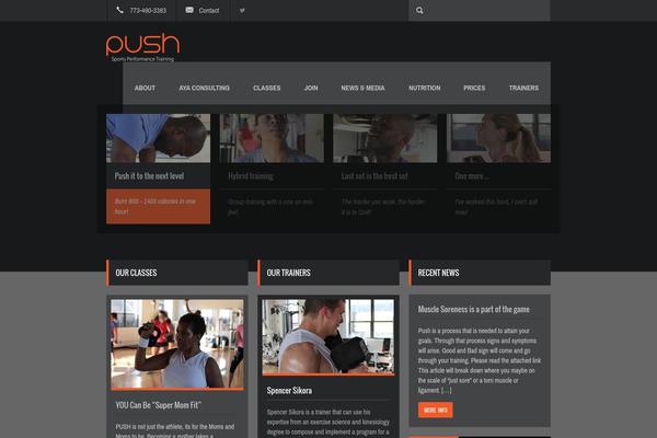 Fit Wp theme site design template sample