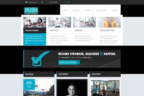 Fit Wp theme site design template sample