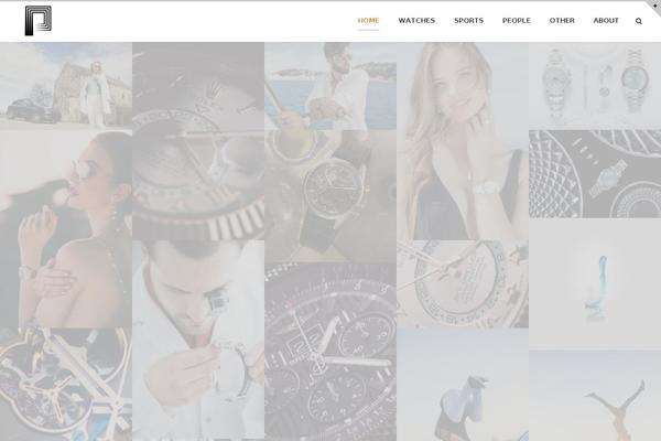 pusnejc.com site used Flexit