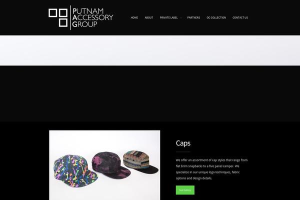 District theme site design template sample