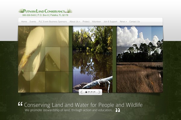 Deepfocus theme site design template sample