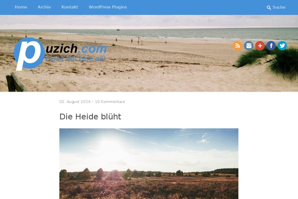 puzich.com site used Puzich.com-2013-ssl
