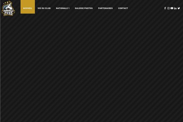 Site using Wolf-custom-post-meta plugin