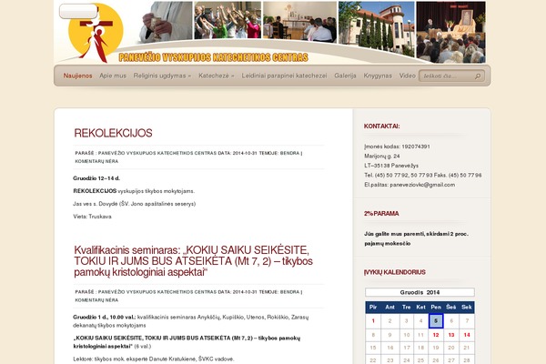 Professional theme site design template sample