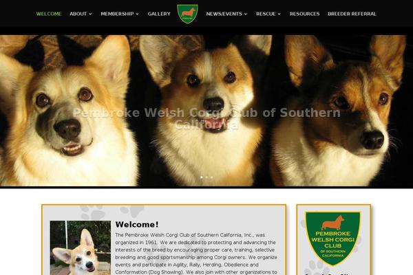 Site using MediaElement.js - HTML5 Video & Audio Player plugin