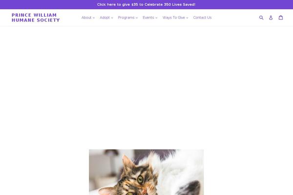 Magnificent theme site design template sample