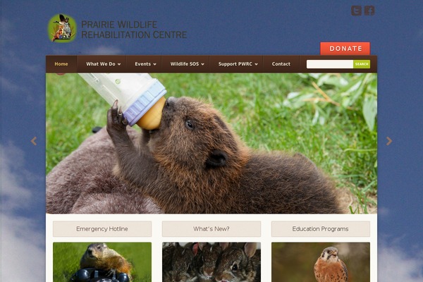Earth theme site design template sample