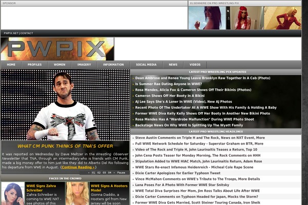 Hot Topix theme site design template sample