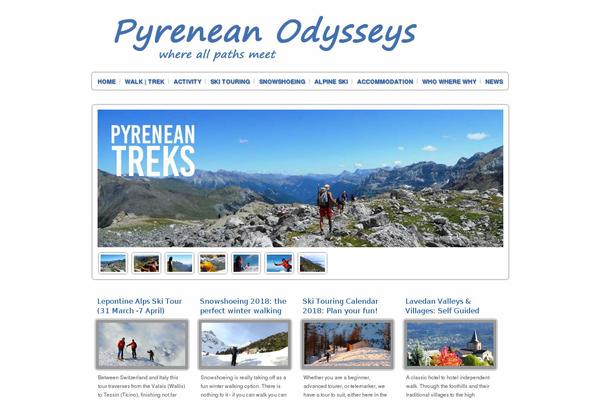 Transparency theme site design template sample