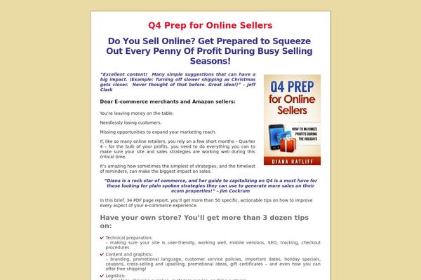 Blank_Sales_Page_Theme-9980 theme websites examples